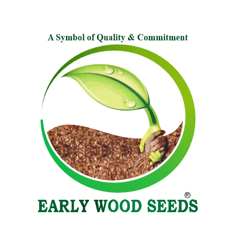 Early Wood Group